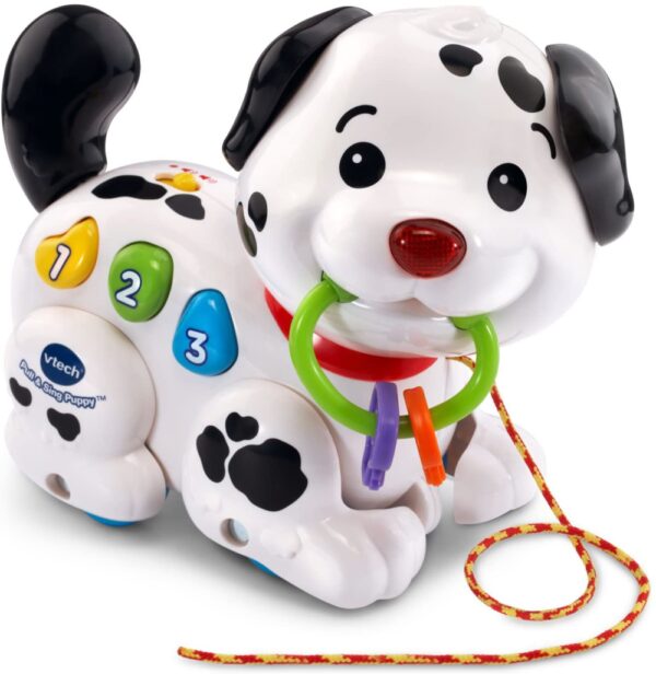 Pull and Sing Puppy